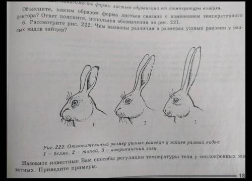 ВАС Я ПОДПИШУСЬ И ЛАЙКИ ПОСТПВЛЮ остальные задания в профиле ​