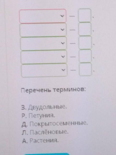 укажи буквы рядом с каждой систематической единицей групповой соответствующий терминам ​