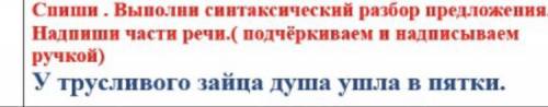 У трусливого зайца душа ушла за ответ БЫСТРЕЙ !