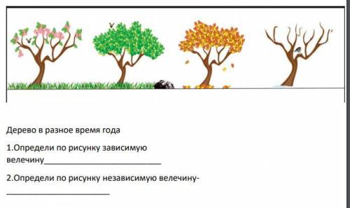 я тупой! Дерево в разное время года 1.Определи по рисунку зависимую велечину 2.Определи по рисунку н