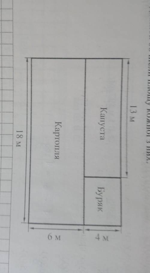 6. За планом ділянок обчисли площу кожної з них. 13 мКапустаБуряк4 мКартопля6 м18 м​