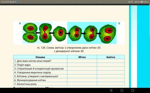 с заданием по биологии 10-класс репродукция клеток.