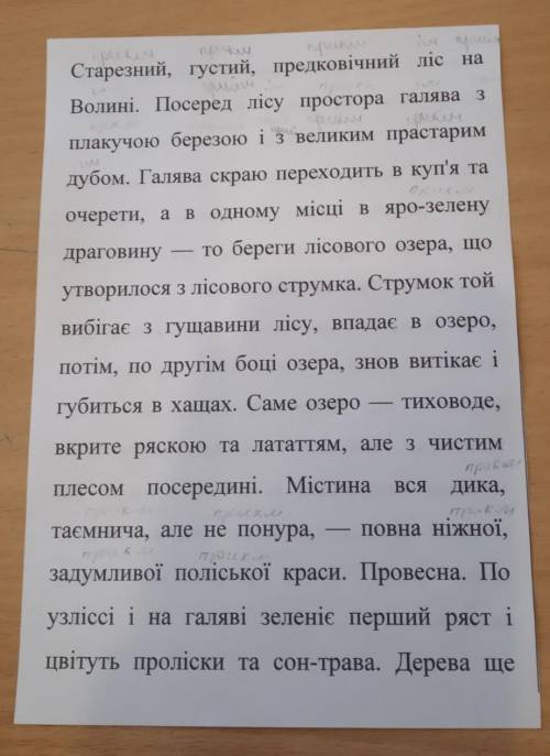 надписати над кожним словом іменники, прикметники, сполучники, прийменники, дієслово, займенники, чи