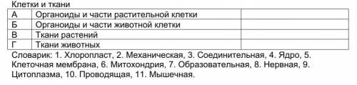 Заполните таблицу, используя соответствующие номера слов из словарика. Понятия в некоторых графах мо