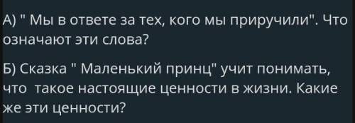 Напишите рассуждения по 2 вопросам вопросы на фото.​