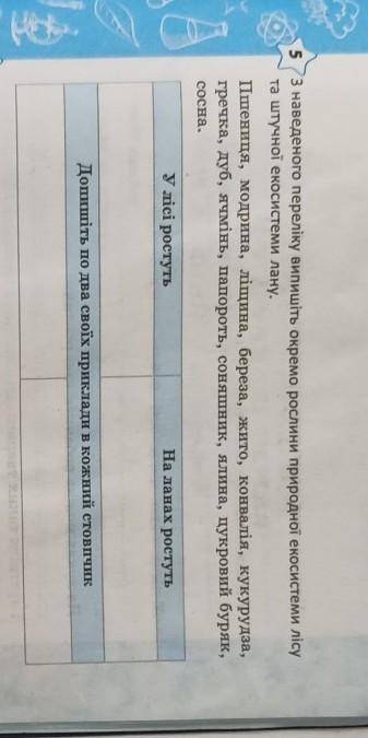 5 З наведеного переліку випишіть окремо рослини природної екосистеми лісута штучної екосистеми лану
