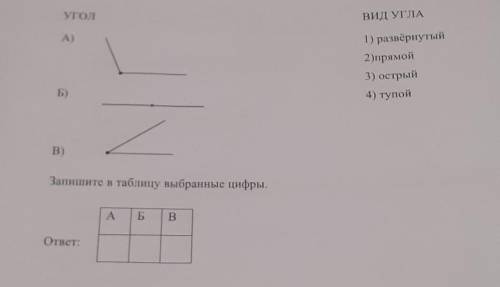 21. Установите соответствие между углом и его видом:для каждой позиции из первого столбца подберите