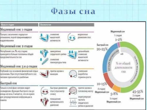 1. У человека во время медленного сна частота дыхания и пульс уменьшаются / увеличиваются. 2. Центр