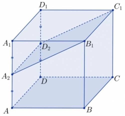 нужно к 23:30. Дан куб ABCDA1B1C1D1. A2 – середина стороны AA1, D2 – середина стороны DD1, AA1= . На