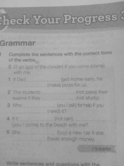 Complete the sentences with the correct form of the verbs.