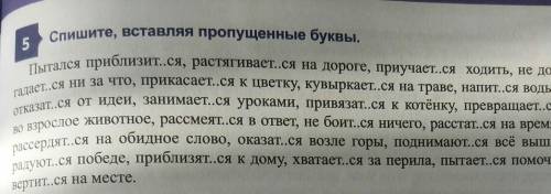 5 Спишите, вставляя пропущенные буквы. Пытался приблизится, растягивается на дороге, приучает..ся хо