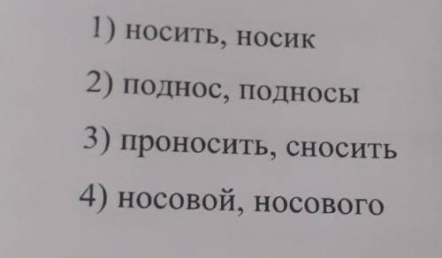 4. Укажите номер примера, в котором использованны одинаковые слова.​