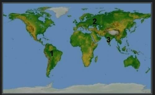 Выберите правильный ряд названия равнин, соответствующие цифрам.Один вариант. A) 1- Бразильское плос