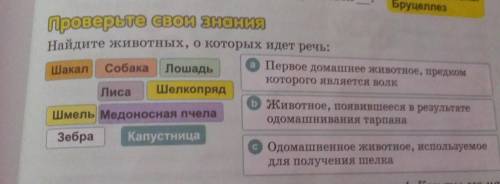 Найдите животных,о которых идёт речь: Шакал, собака, лошадь,лиса, шелкопряд, шмель, медоносная пчела