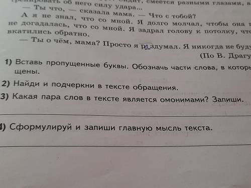 Какая пара слов в тексте евляется омонимами