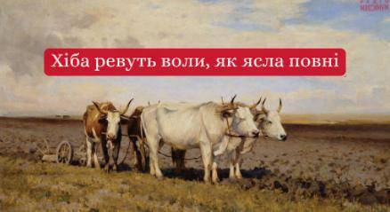 З'ясуйте вид складного речення у назві твору.