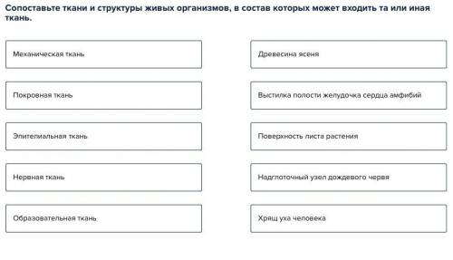 Cопоставьте ткани и структуры живых организмов.