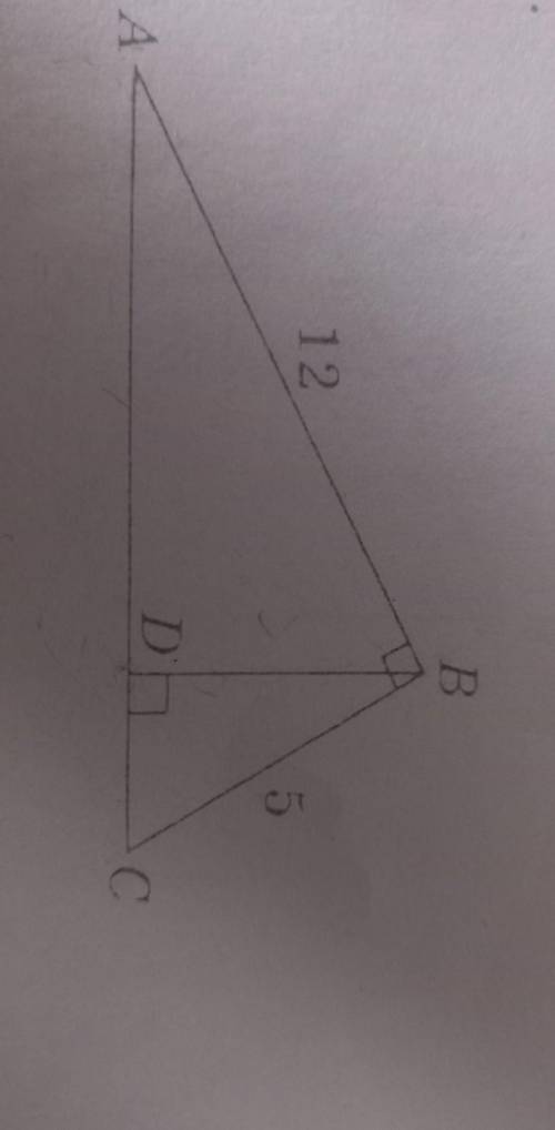 Дано угол ABC =90°; BDпараллелен AC; AB=12; BC =5. Найти BD​