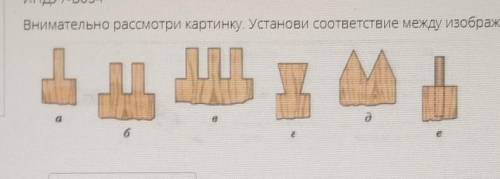 Как называется каждый из шипов ​