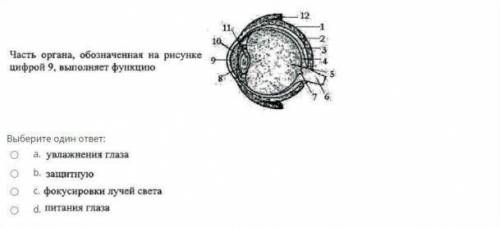 ответить на данные вопросы