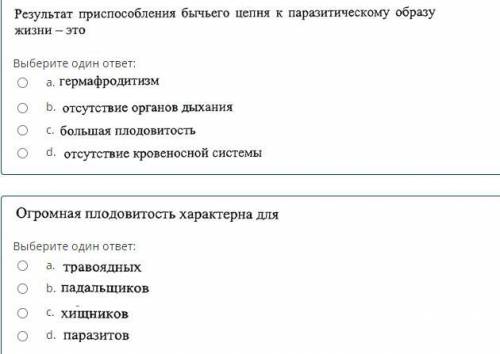 ответить на вопросы, указанные на скриншоте