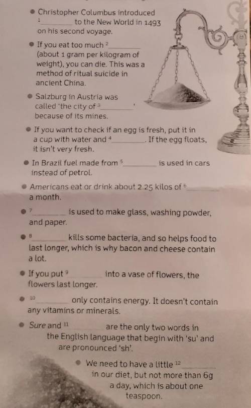 WHITE GOLD FASCINATING FACTS ABOUT SUGAR AND SALT At different times in history, both sugar and salt