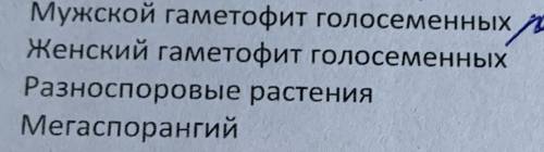 Дайте определение понятиямКратко