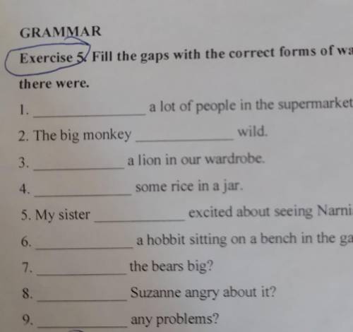 Exercise & Fil the gaps with the correct forms of was, were there was and there were 1. a lot of