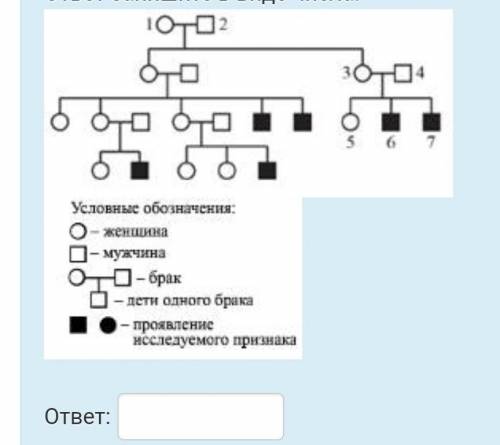 По родословной определите вероятность (%) рождения ребенка у родителей 3 и 4 с признаком, обозначенн