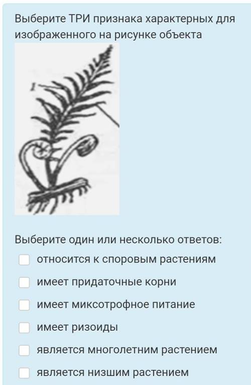 Выберите ТРИ признака характерных для изображенного на рисунке объекта​