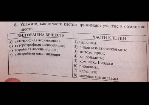 УКАЖИТЕ, КАКИЕ ЧАСТИ КЛЕТКИ ПРИНИМАЮТ УЧАСТИЕ В ОБМЕНЕ ВЕЩЕСТВ