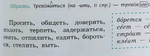 Вопрос:определите спряжение глаголов ,поставьте их в 1 м лице множественного числа