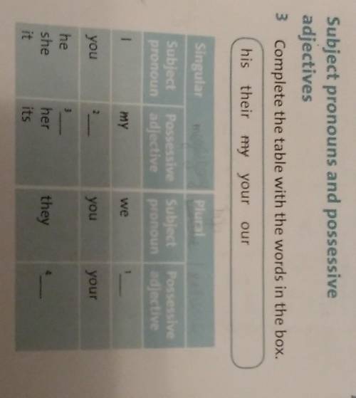 Subject pronouns and possessive adjectives 3 Complete the table with the words in the box.