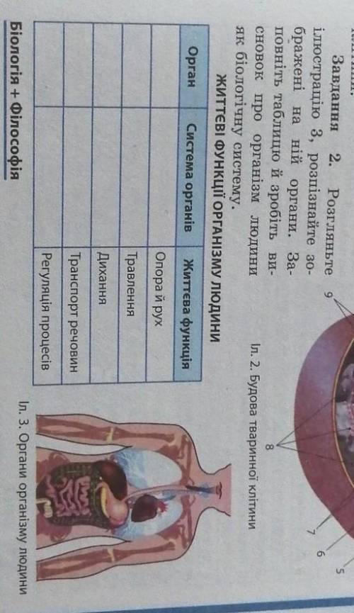 Розгляньте iлюстрацiю 3, розпiзнайте зображенi на нiй органи. Заповніть таблицю й зробiть висновок п