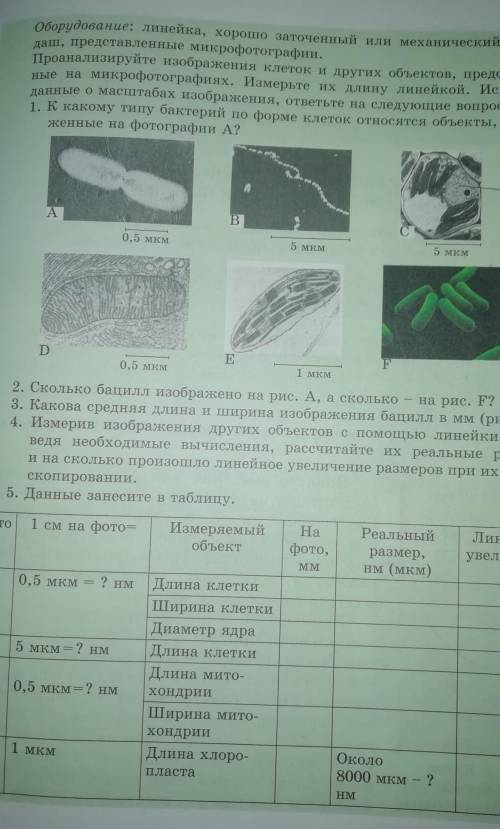 5. Данные занести в таблицу.