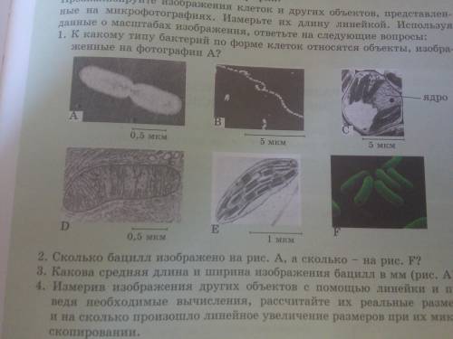 с таблицей на фото с картинками там нужное все выходные угробил на дз