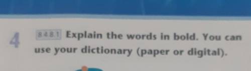 Explain the words in bold. You can use your dictionary (paper digital).