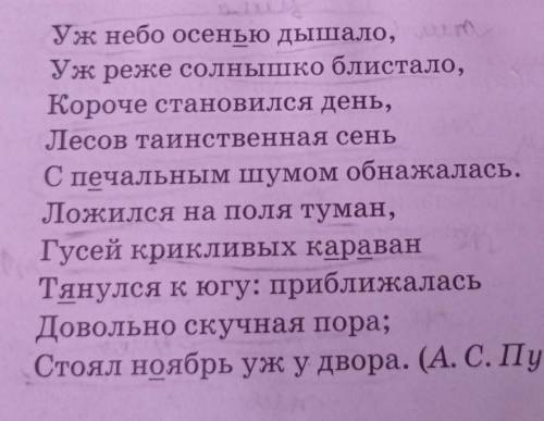 . 11В. Прокомментируйте подчеркнутые орфограммы