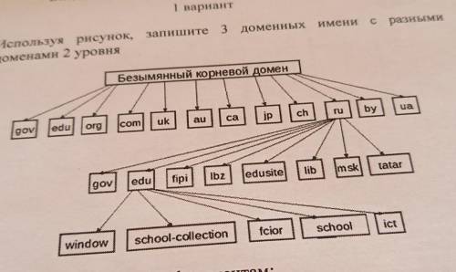 Используя рисунок запишите 3 доменных имени с разными доменами 2 уровня