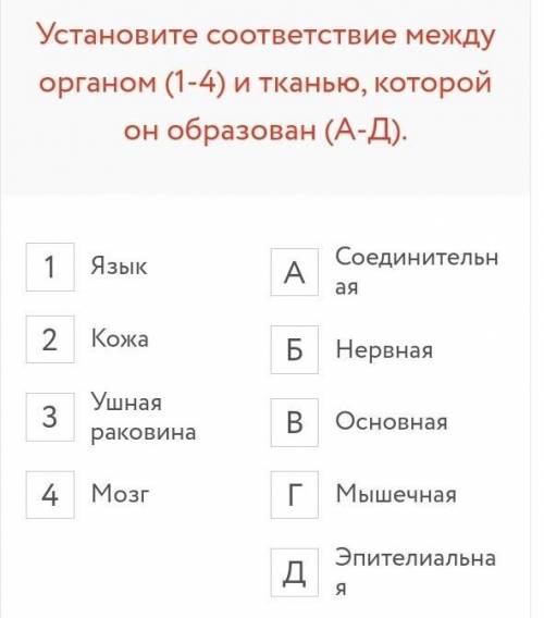 Установите соответствие между органом (1-4) и тканью, которой он образован (А-Д).