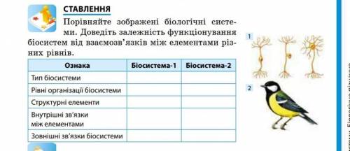 Порівняйте зображенні біологічні системи