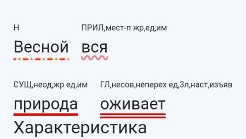 Весной вся природа оживает. сделать синтаксический разбор и как подчёркивать и также названия (сущ п