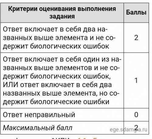 Ученому необходимо отделить рибосомы от остального содержимого клетки. С какого метода это можно сде