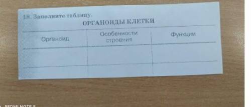 1 колонка ядро, цитоплазма, эндоплазматическая сеть, рибосомы, комплекс готльджи, митохондрии, лизос