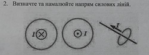 Визначте та намалюйте напрям силових ліній