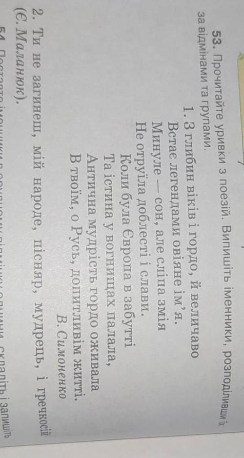 Виписати іменники, розподіливши їх за відмінами, та групами