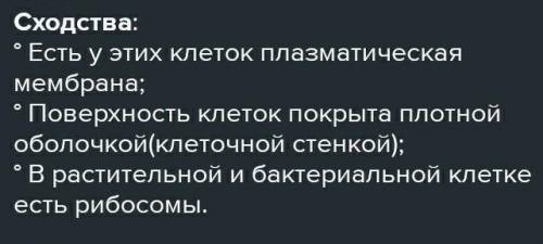 Что общего в строении растительной и бактериальннй клеток ?​