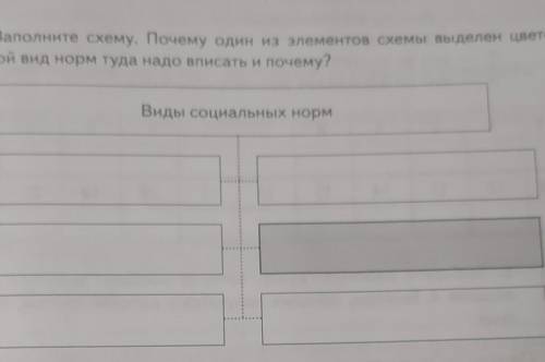 2. Заполните схему. Почему один из элементов схемы выделен цветом? Какой вид норм туда надо вписать