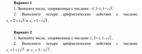 ,хелп 1вариант, и что это за тема вообще?