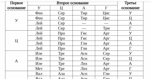 В результате мутации во фрагменте молекулы белка аминокислота треонин (тре) заменилась на глутамин (